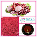 Powdered Food Coloring For Sausage Red Fermented Rice Powder Manufacturer